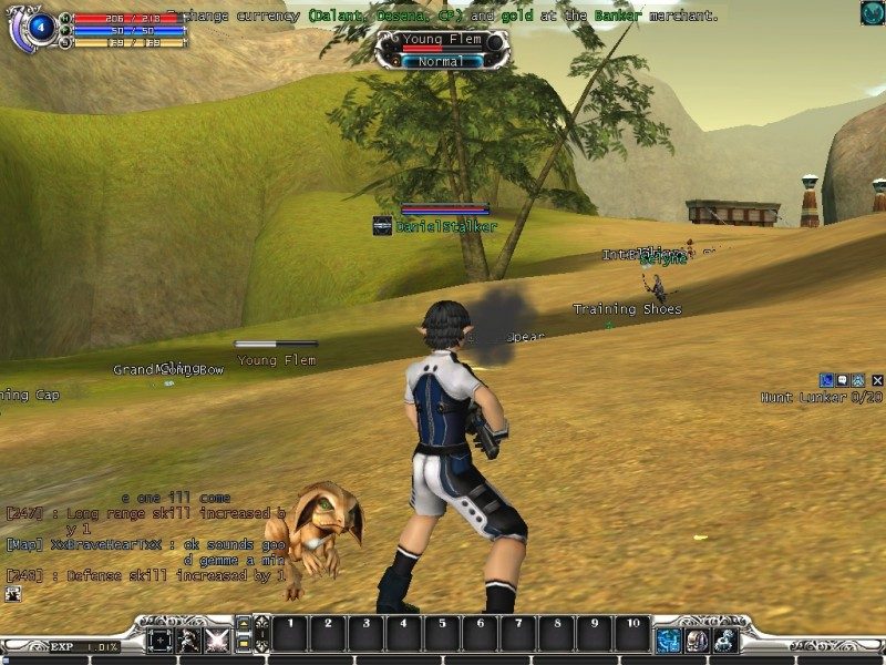 Massively Multiplayer Online Game